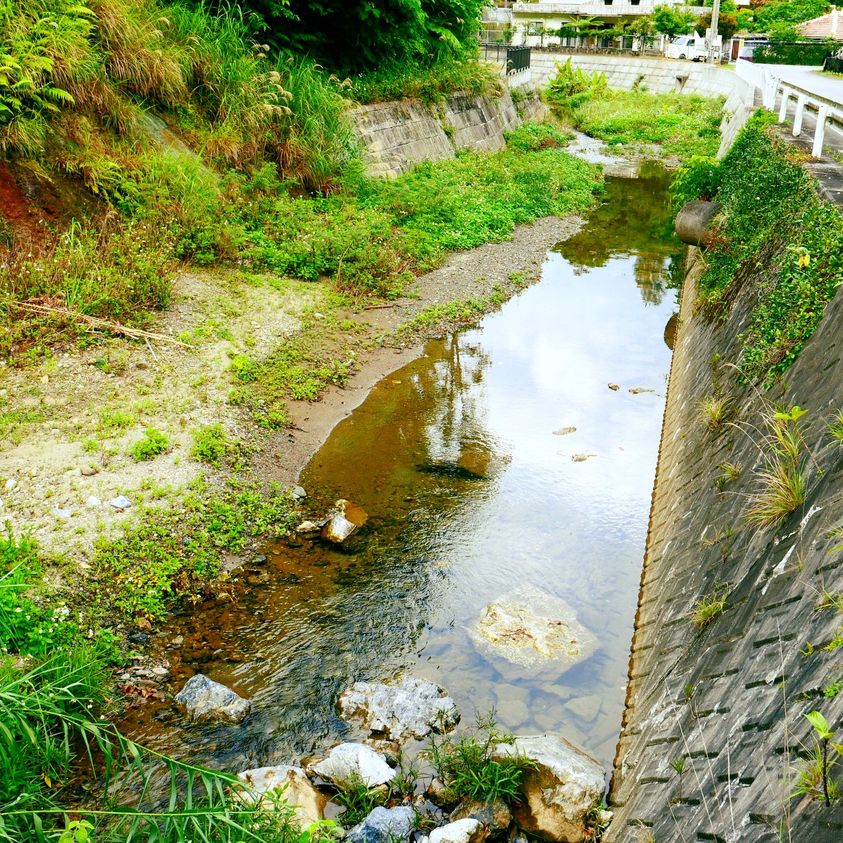 大宜味村・謝名城集落の中を流れる川のふだんの様子