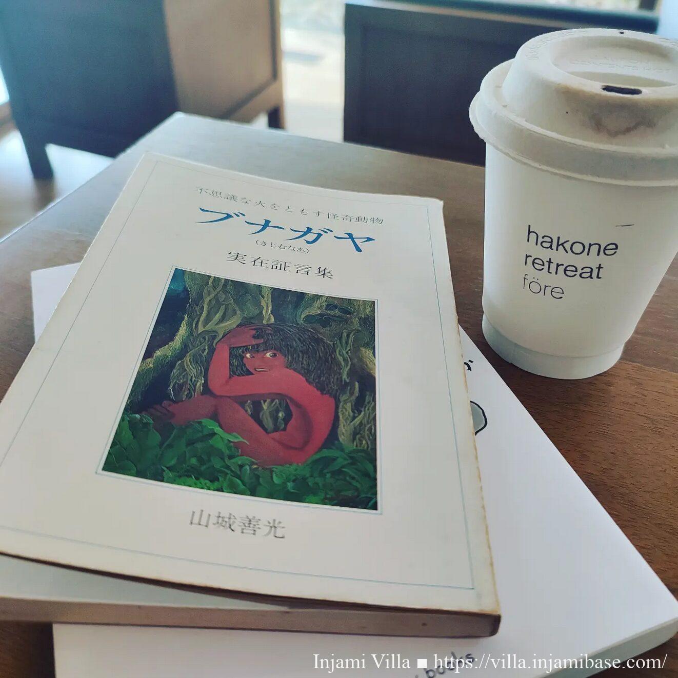 『ブナガヤ(きじむなあ)実在証言集』の表紙写真