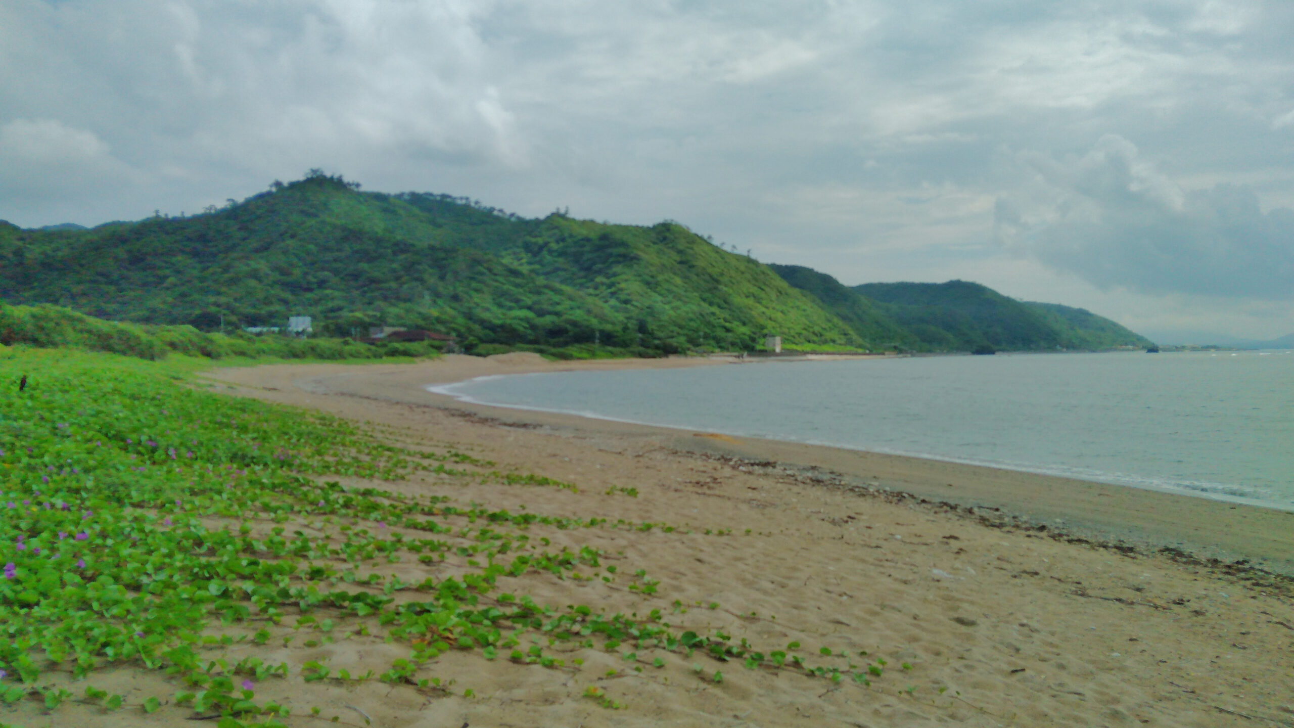 喜如嘉の海辺に広がるロングビーチ。やんばるらしい素朴な景色